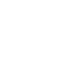 Ikona: fundusz socjalny