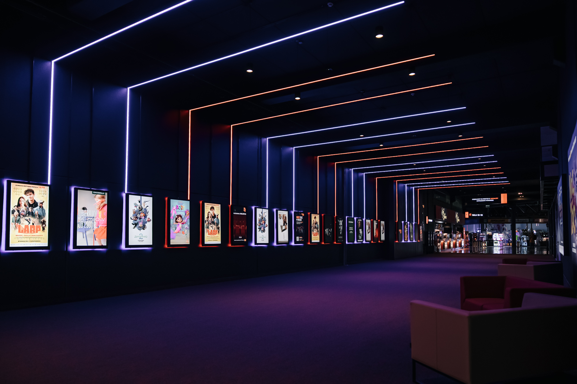 Kino Cinema City Poznań Kinepolis to jedno z największych kin w Polsce. Do dyspozycji widzów jest 18 klimatyzowanych sal, które jednocześnie pomieszczą ponad 6 500 widzów. Sale wyposażone są w innowacyjne technologie projekcji filmów, wysokiej klasy systemy dźwiękowe i wygodne fotele kinowe.