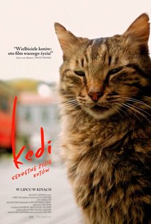 Kedi - sekretne życie kotów poster