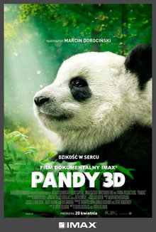 Pandy 3D poster
