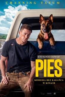 Pies poster