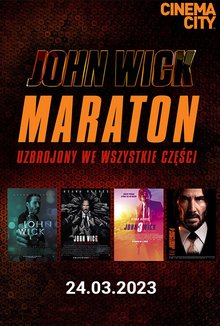 Maraton John Wick poster