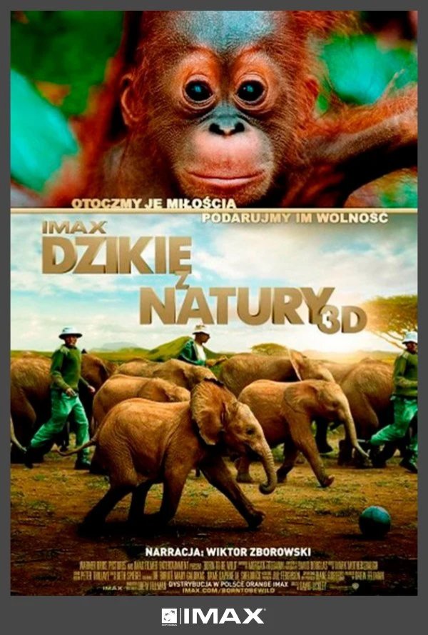 Dzikie z Natury 3D poster